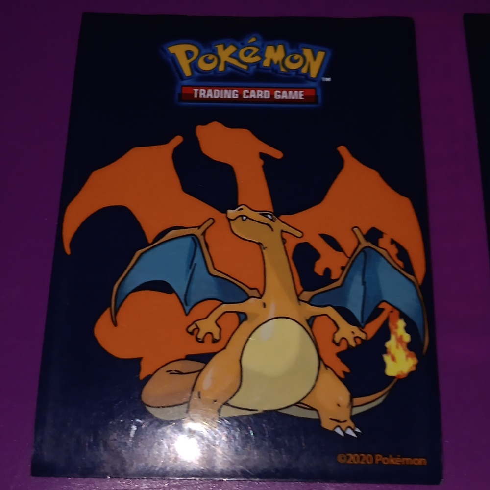 Pokémon case